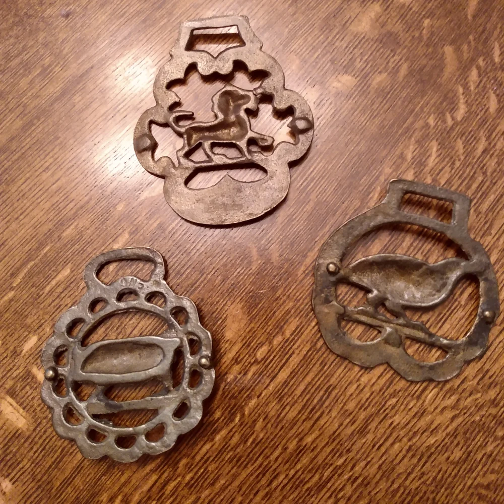 Show Some Brass! Horse Tack Medallion: Lion - Picture 3 of 5